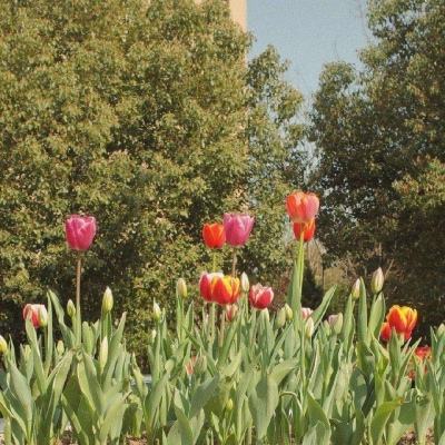 银行理财也不好卖了？近期有多款产品发行失败