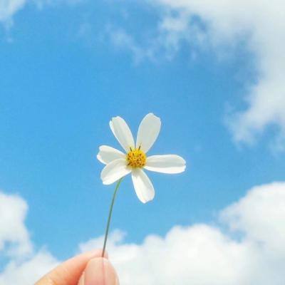 高盛表示如果伊朗战争冲击经济增长 则美元强势将减弱