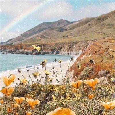 乐鱼体育网址是多少