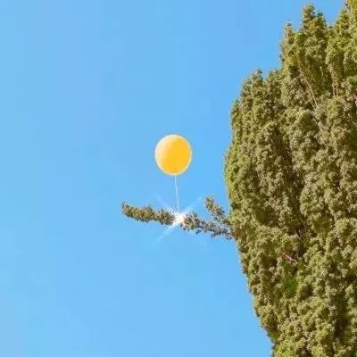 6866体育app官方网站相关推荐1