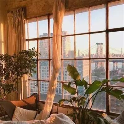 神兽金刚3超变星甲