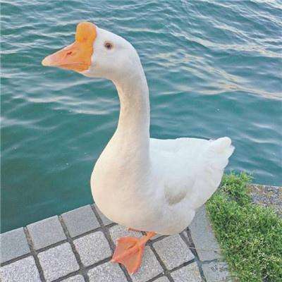 博亚官方亚洲app娱乐手机版官网