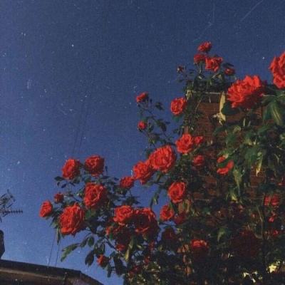 环旭电子股份有限公司关于认购的私募基金完成备案的公告