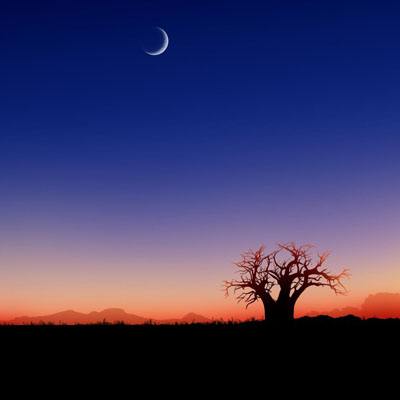 东赢体育娱乐APP/手机APP下载截图