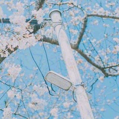 8868体育注册与登录相关推荐1