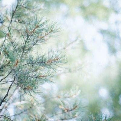 美国初请失业救济人数小幅升至21万 持续申领者创近两年最低纪录