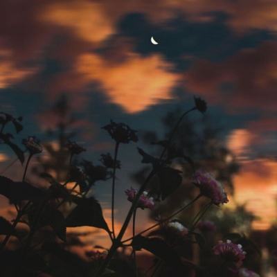 特朗普称推迟打击伊朗发电设施，外交部回应