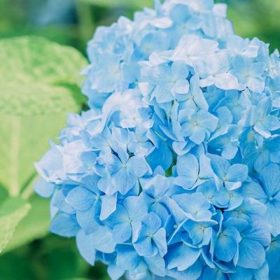 章子怡晒两个女儿照片，网友：大女儿和私下差别太大