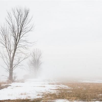 复杂测针这样配,测量效率提升 1...