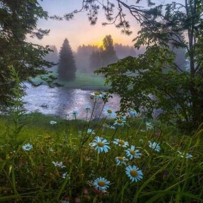 W66体育娱乐下载APP/手机APP下载