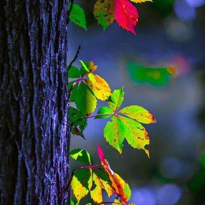 创新药盈利拐点确立,富国医药创新股票锚定核心赛道