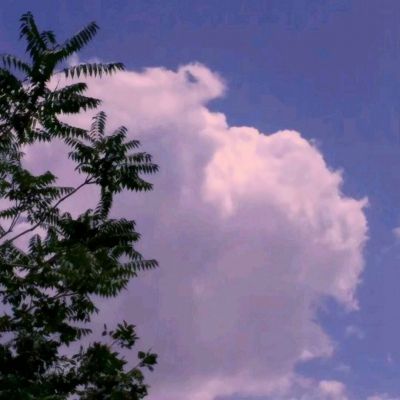 leyu乐鱼体育全站app