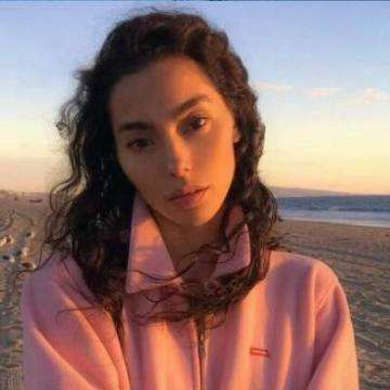 属性与生活2工作室破解版